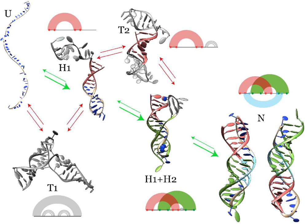 HiRE-RNA image