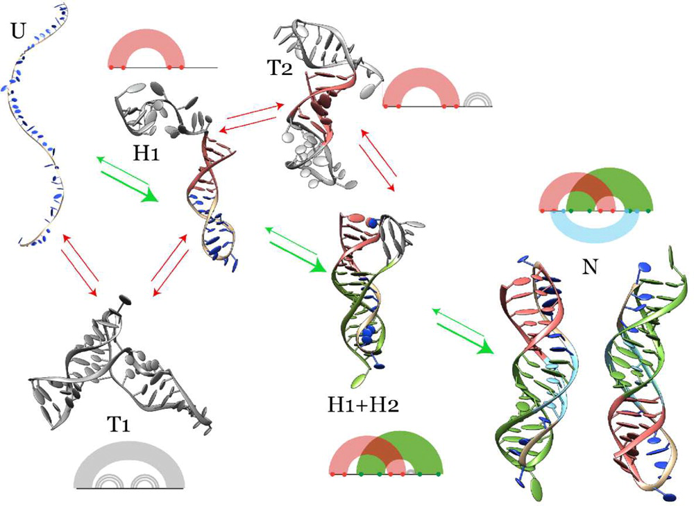 HiRE-RNA image
